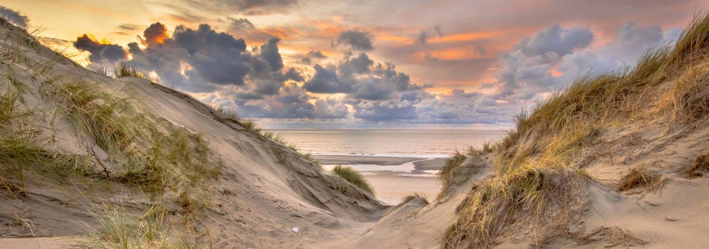 Bekijk foto 5 van Reeweg 1