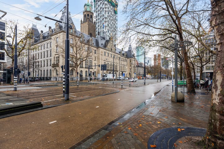 Photo 37 of Weena 931