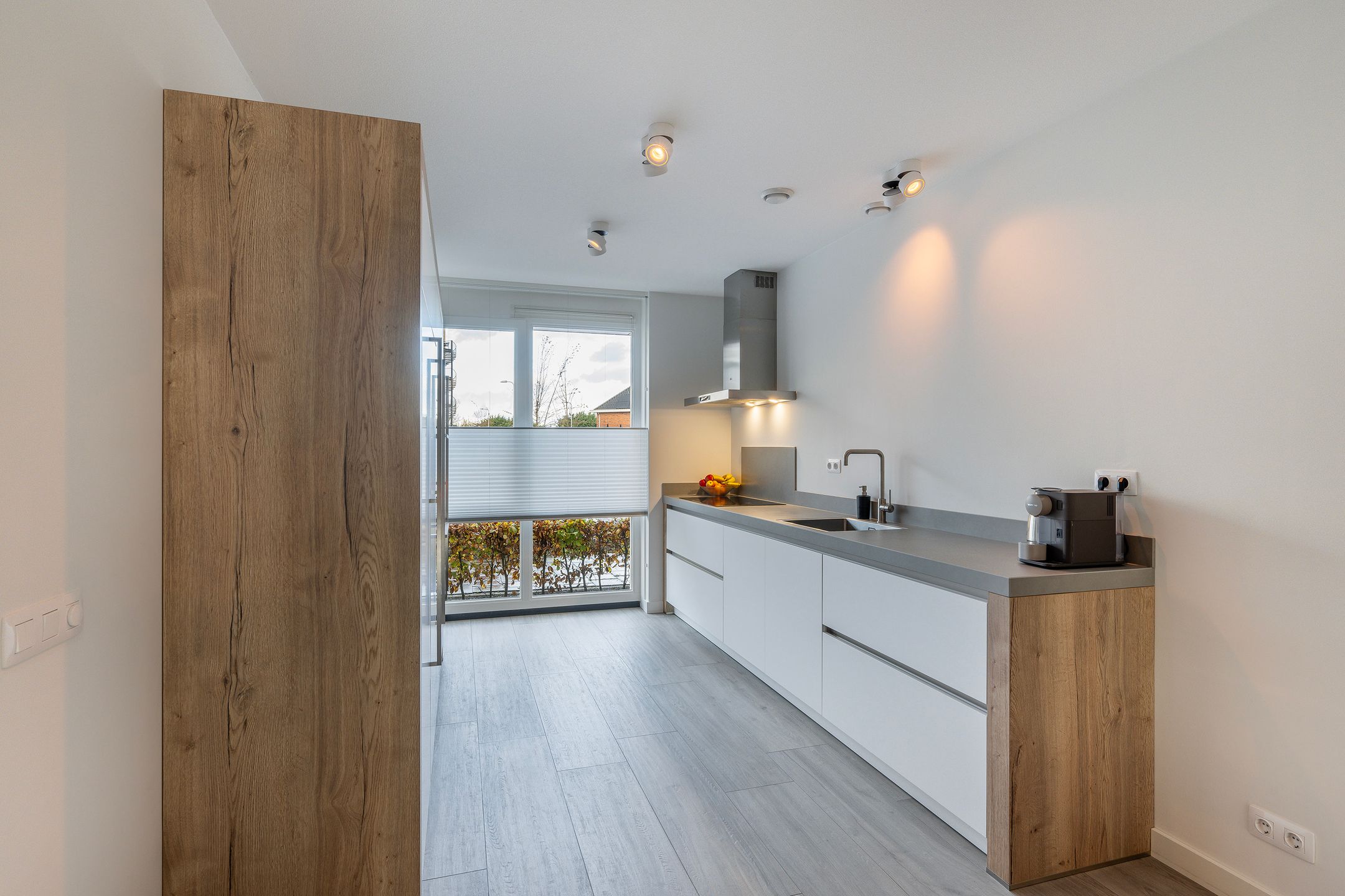 Foto 6 van Grote vos 45