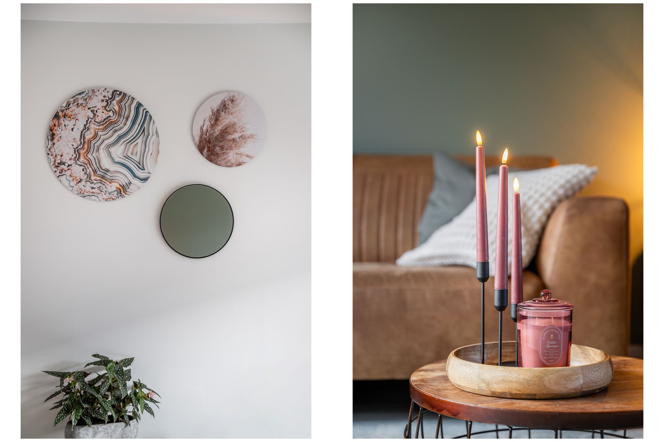 Foto 12 van Grote vos 45