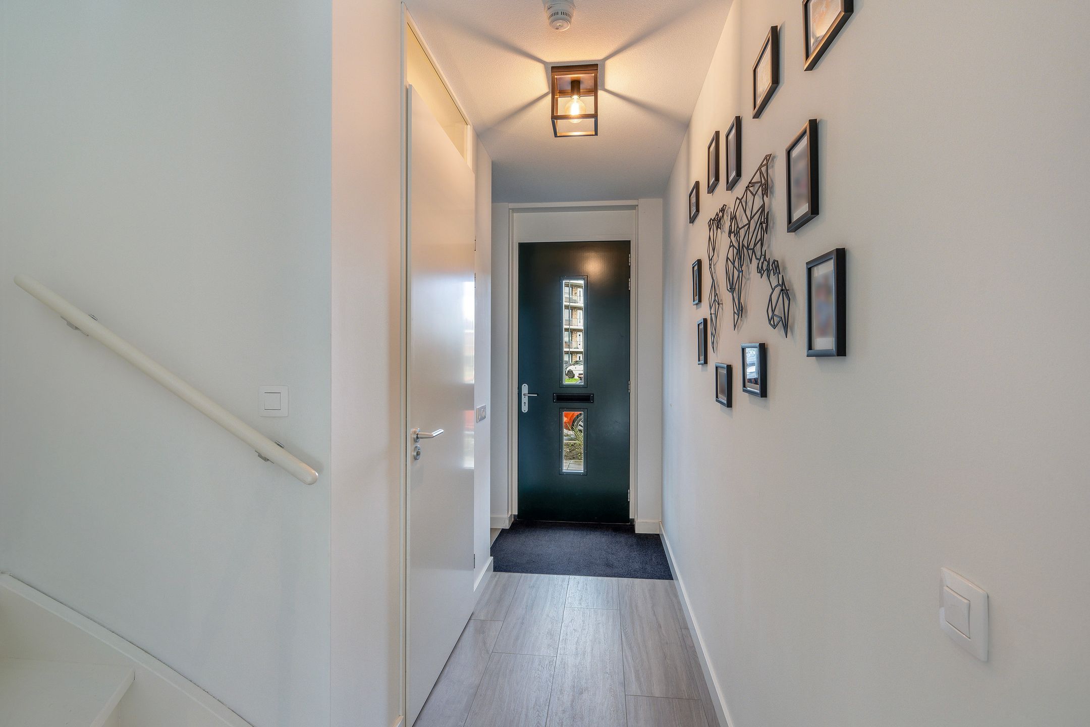 Foto 15 van Grote vos 45