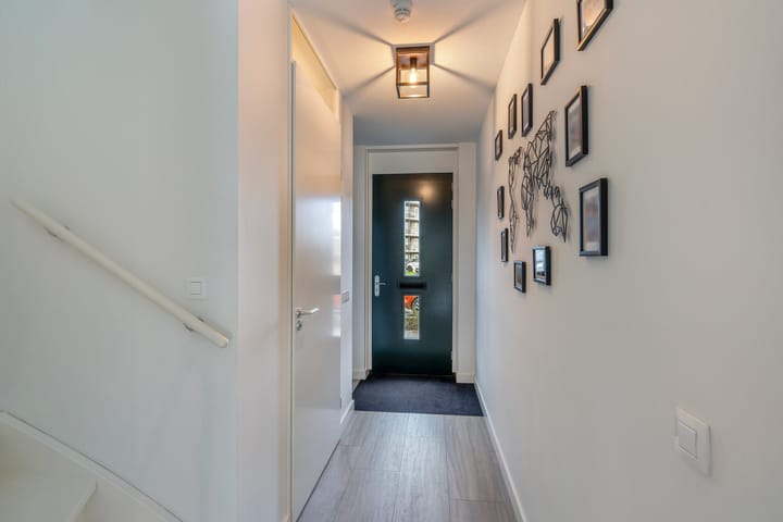 Foto 15 van Grote vos 45