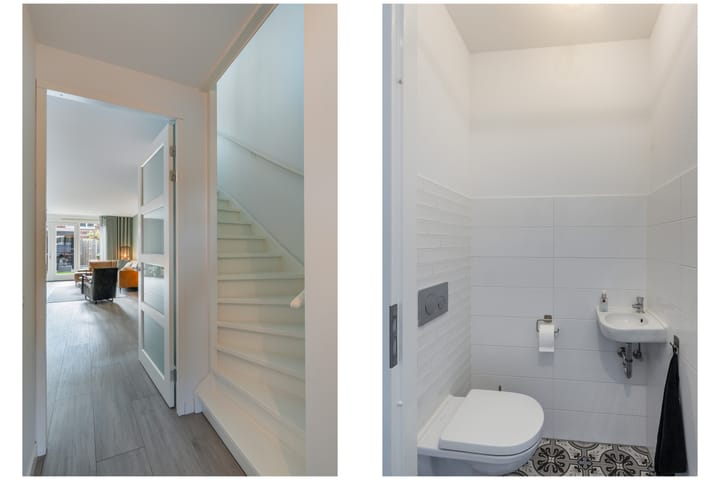 Foto 16 van Grote vos 45