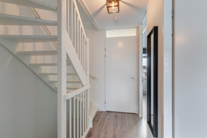 Foto 18 van Grote vos 45