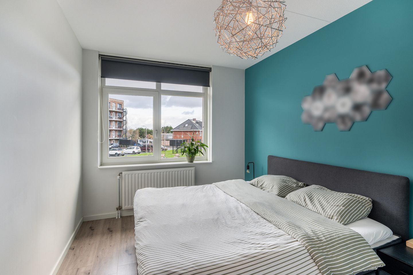 Foto 19 van Grote vos 45