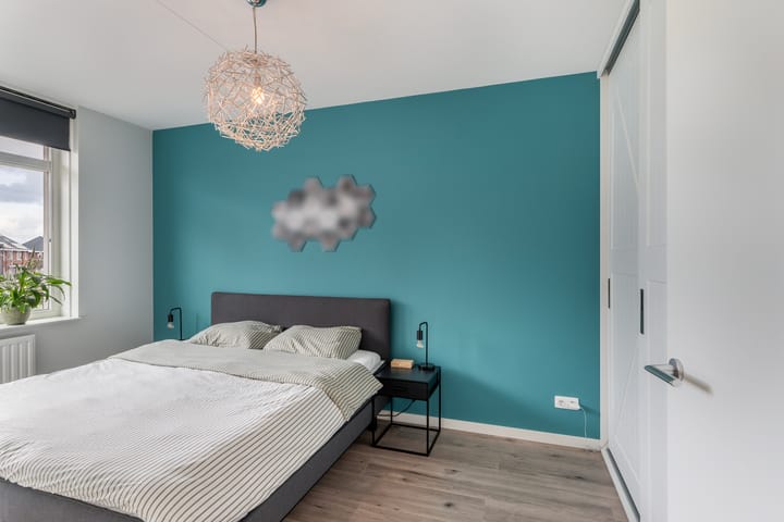 Foto 20 van Grote vos 45