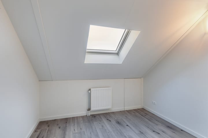 Foto 33 van Grote vos 45