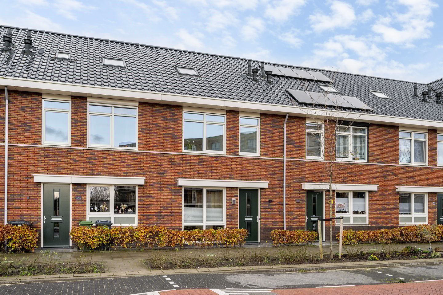 Foto 35 van Grote vos 45