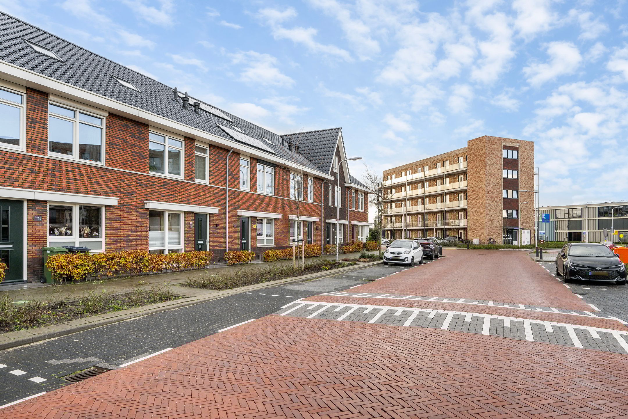 Foto 36 van Grote vos 45