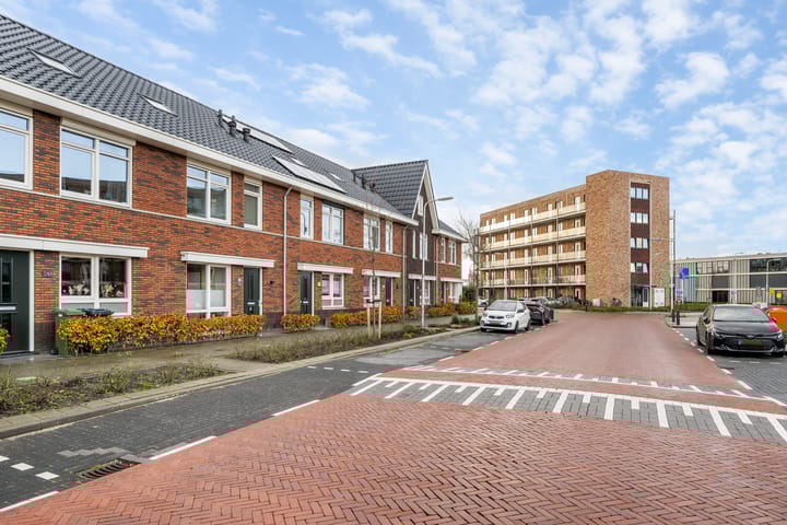 Foto 36 van Grote vos 45