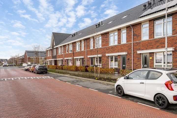 Foto 37 van Grote vos 45