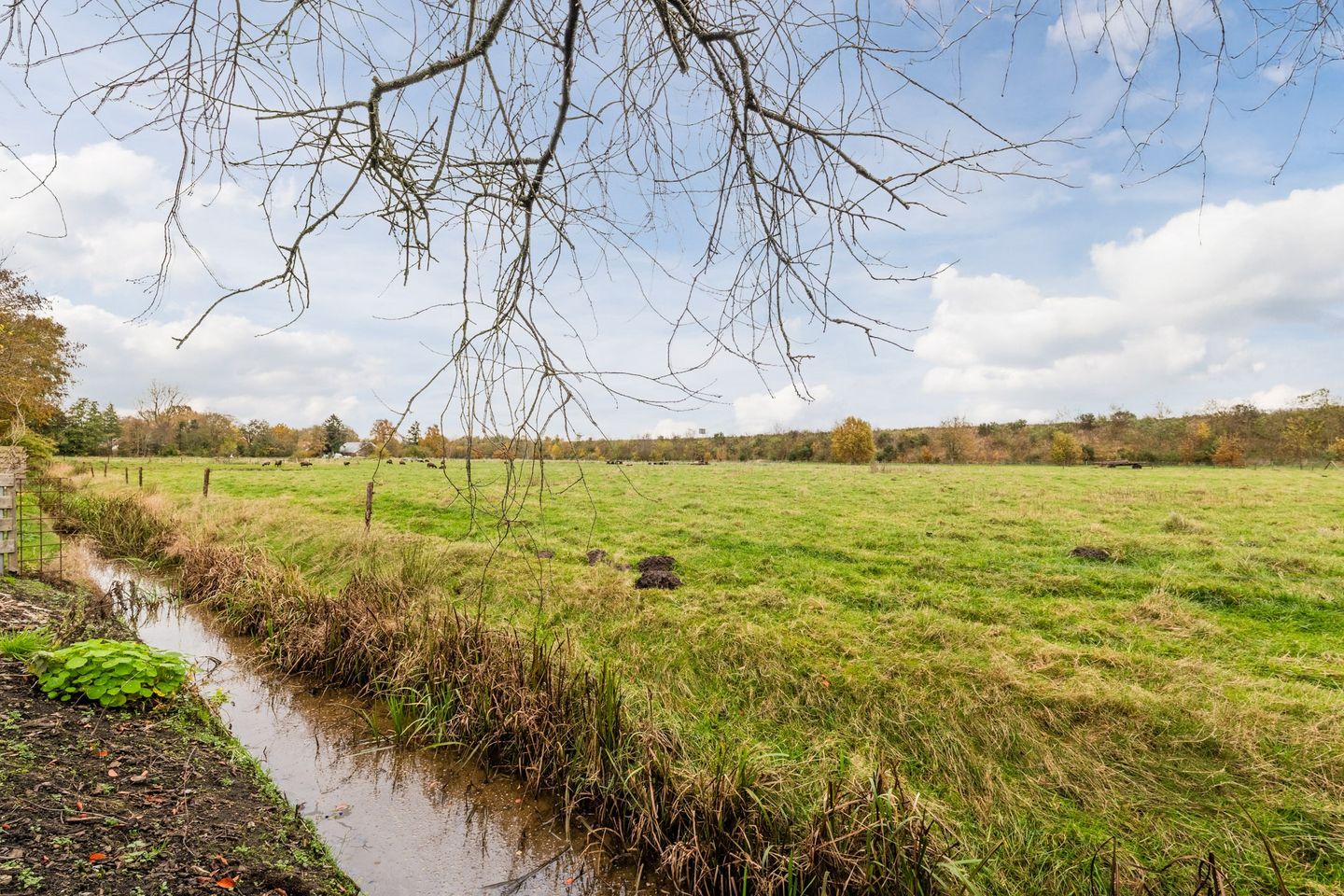 Foto 40 van Onstwedderweg 91