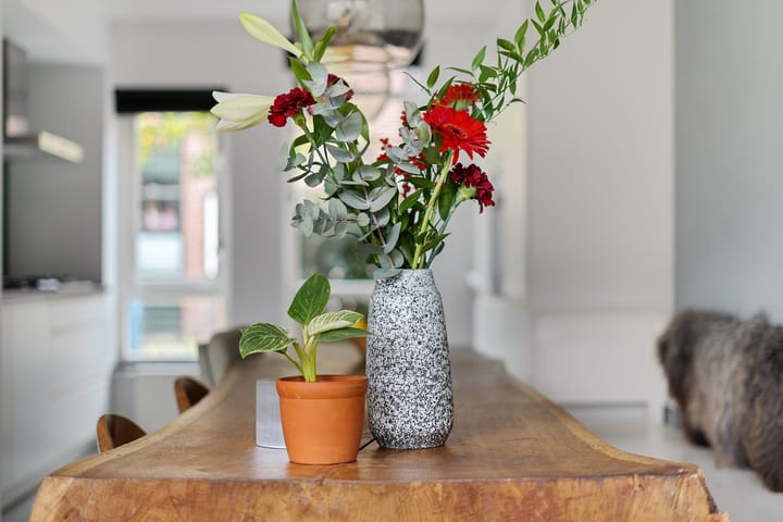 Photo 19 of Heelmeestersdreef 103