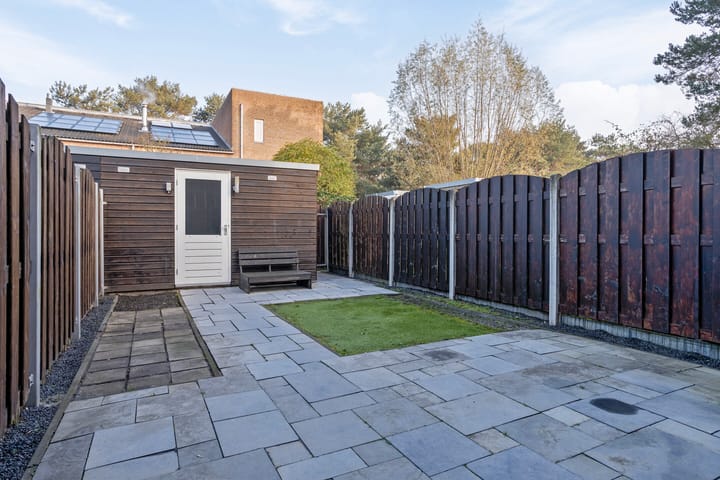 Foto 28 van Dambordje 23