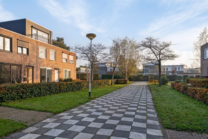 Foto 32 van Dambordje 23