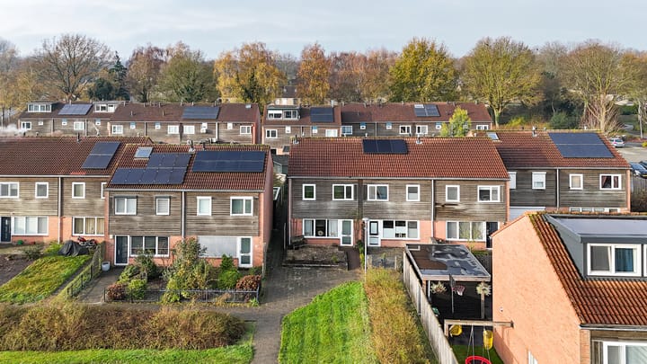 Photo 1 of Huismus 25