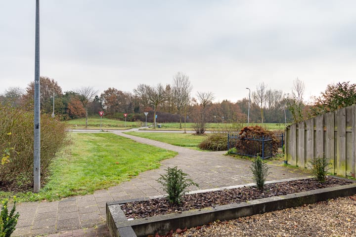 Photo 6 of Huismus 25