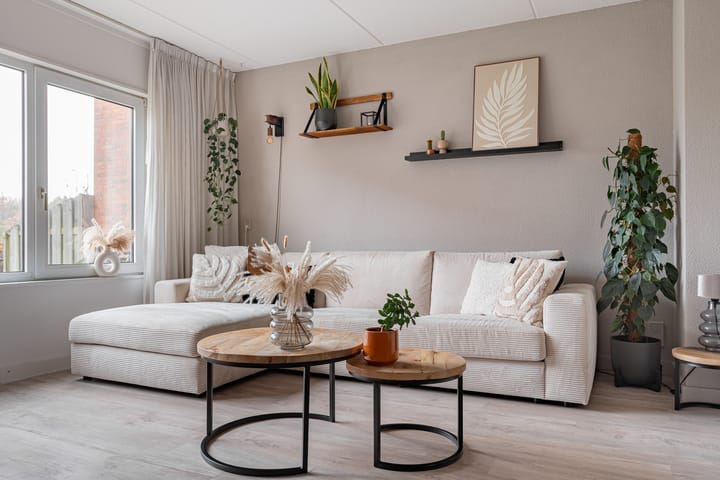 Photo 12 of Huismus 25