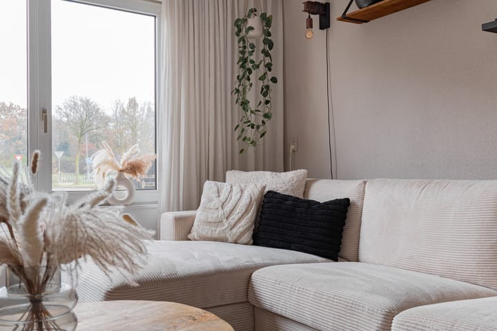 Photo 14 of Huismus 25