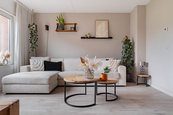 Photo 13 of Huismus 25