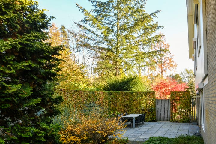 Photo 44 of Schimmelpennincklaan 9