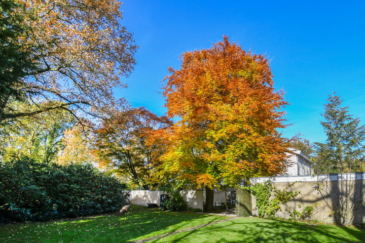 Photo 45 of Schimmelpennincklaan 9