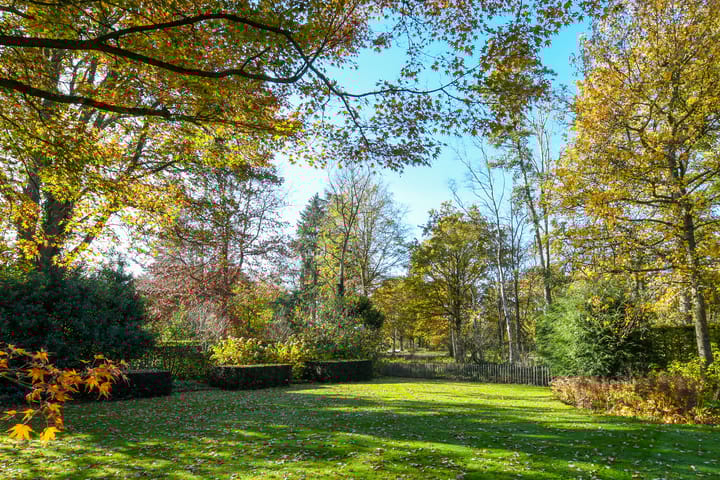 Photo 50 of Schimmelpennincklaan 9