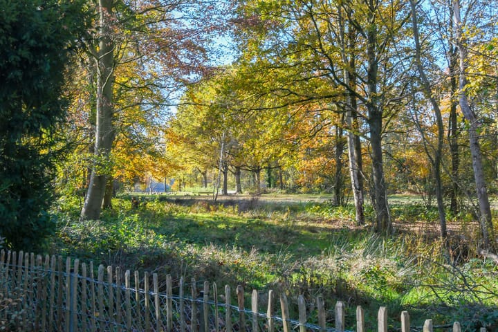 Photo 51 of Schimmelpennincklaan 9