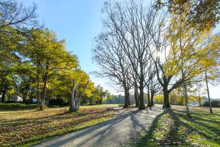 Photo 52 of Schimmelpennincklaan 9