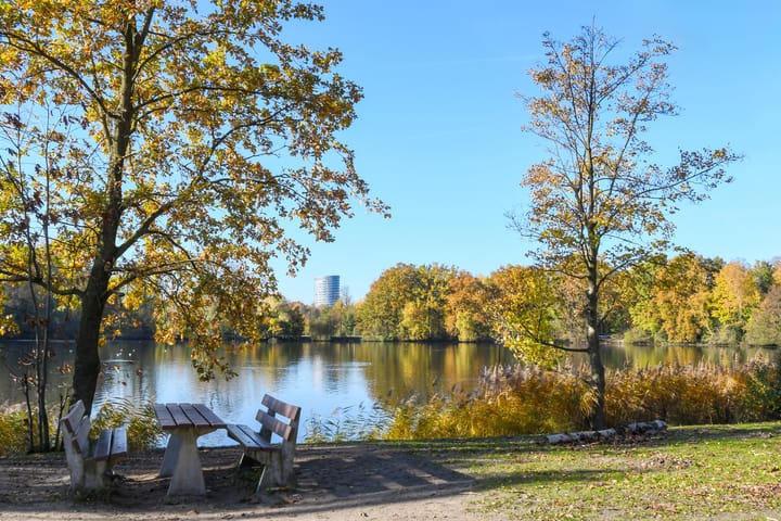 Photo 53 of Schimmelpennincklaan 9