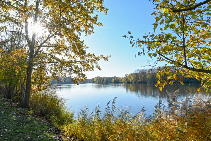 Photo 54 of Schimmelpennincklaan 9