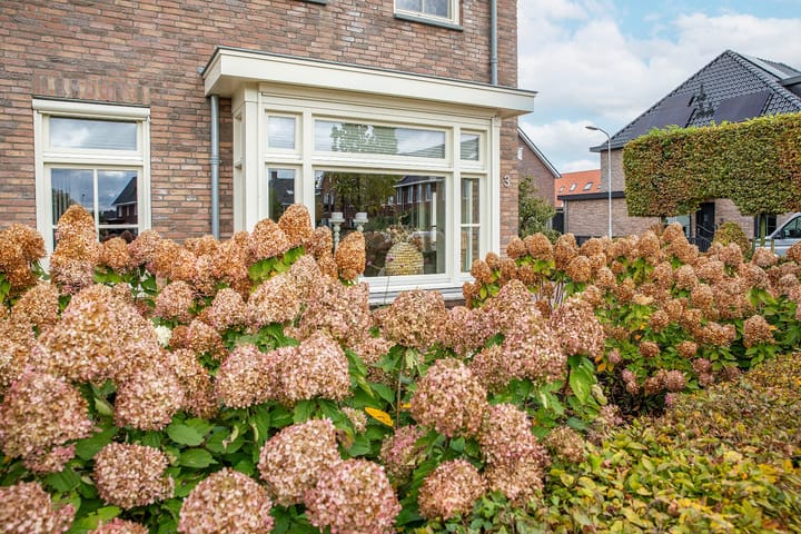 Photo 93 of Meester A Datemalaan 3