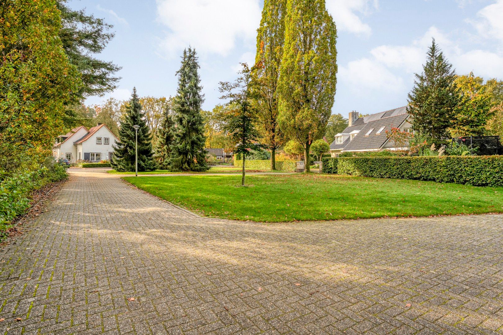 Foto 39 van Wolfskuilstraat 10