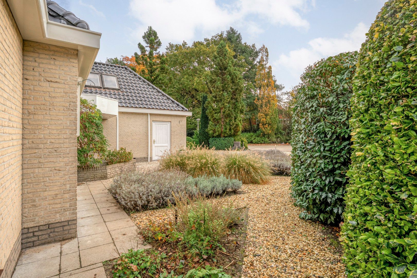 Foto 45 van Wolfskuilstraat 10