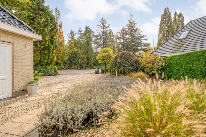 Photo 46 of Wolfskuilstraat 10