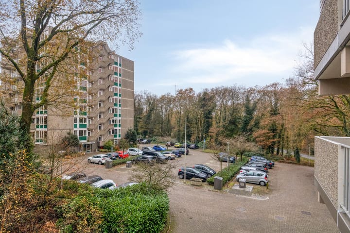 Foto 26 van Koningsberg 8