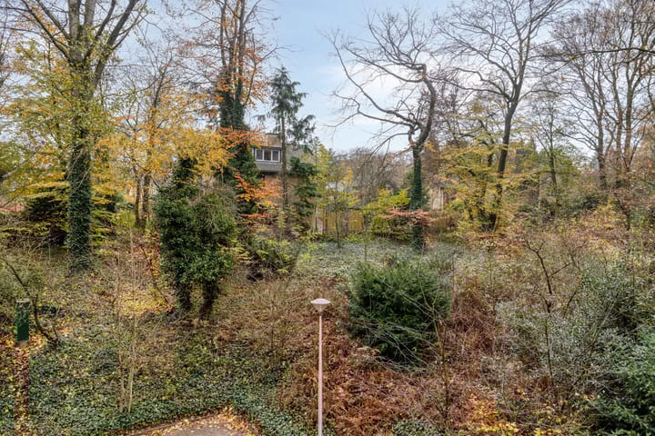 Foto 27 van Koningsberg 8