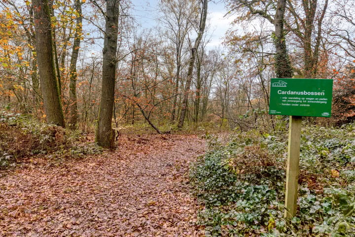 Foto 34 van Koningsberg 8