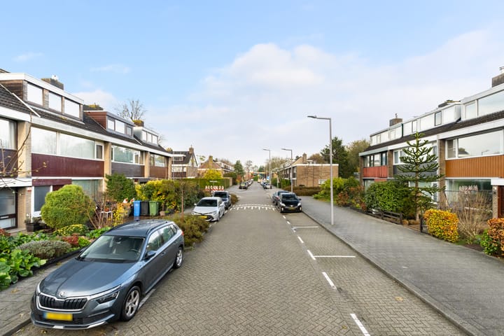 Foto 6 van Vredeman de Vriesstraat 6