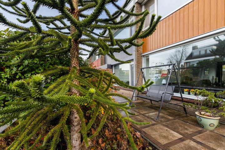 Foto 9 van Vredeman de Vriesstraat 6