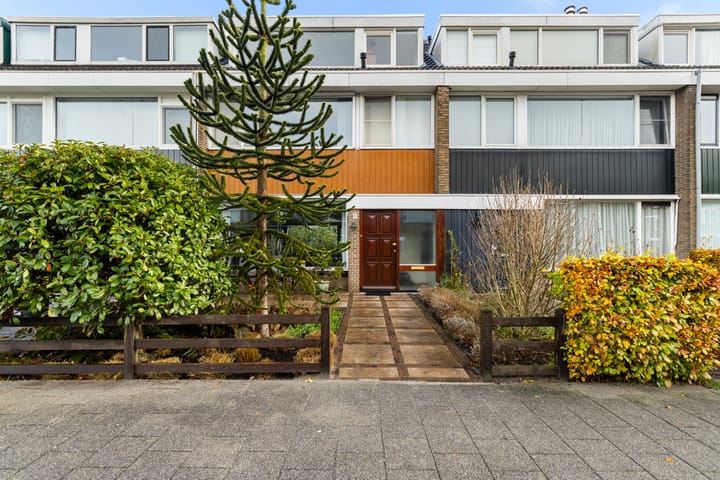 Foto 8 van Vredeman de Vriesstraat 6