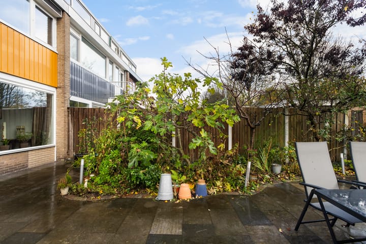 Foto 27 van Vredeman de Vriesstraat 6