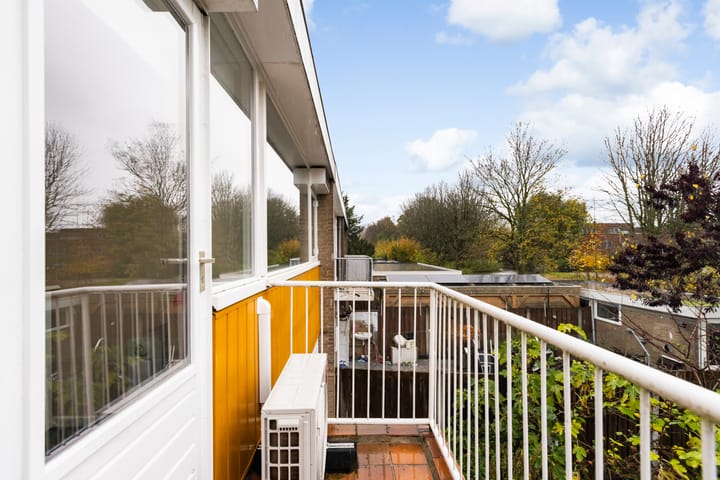 Foto 36 van Vredeman de Vriesstraat 6