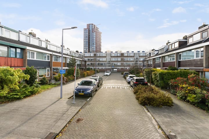 Foto 63 van Vredeman de Vriesstraat 6