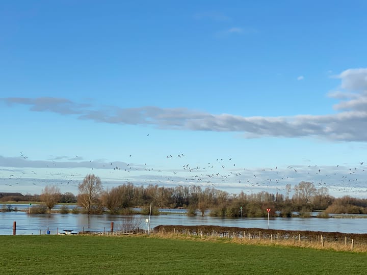 Foto 88 van Veerweg 25