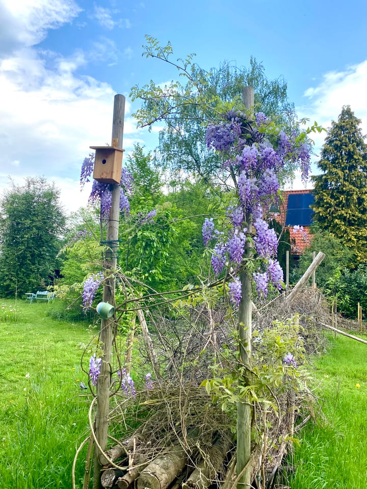 Foto 89 van Veerweg 25