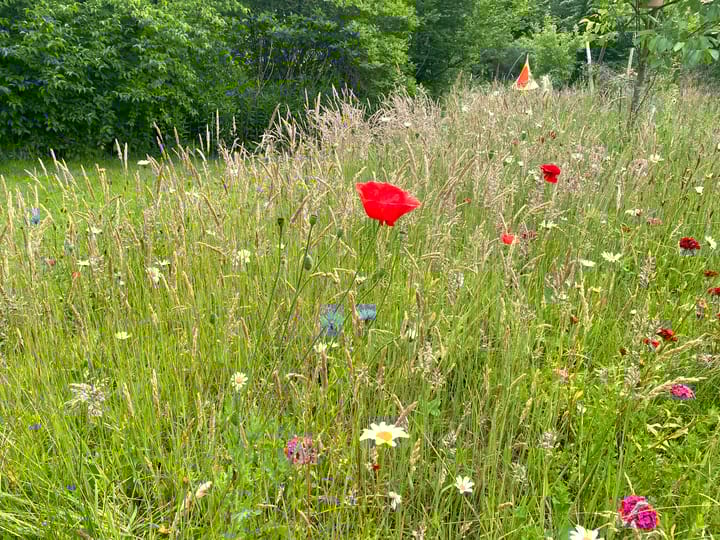 Foto 90 van Veerweg 25