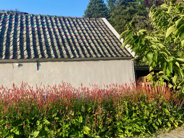 Foto 91 van Veerweg 25