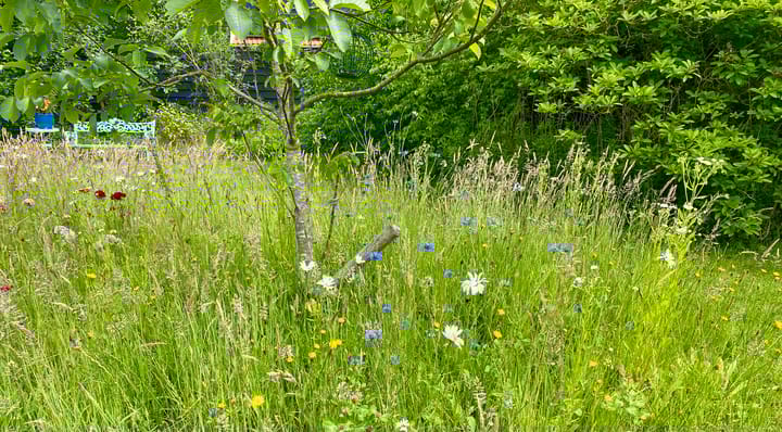 Foto 92 van Veerweg 25