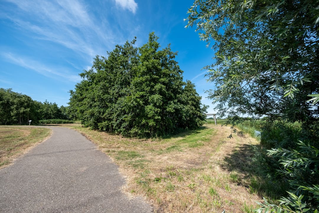 Foto 46 van Marseillehaven 4